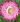 Helichrysum bright rose 06